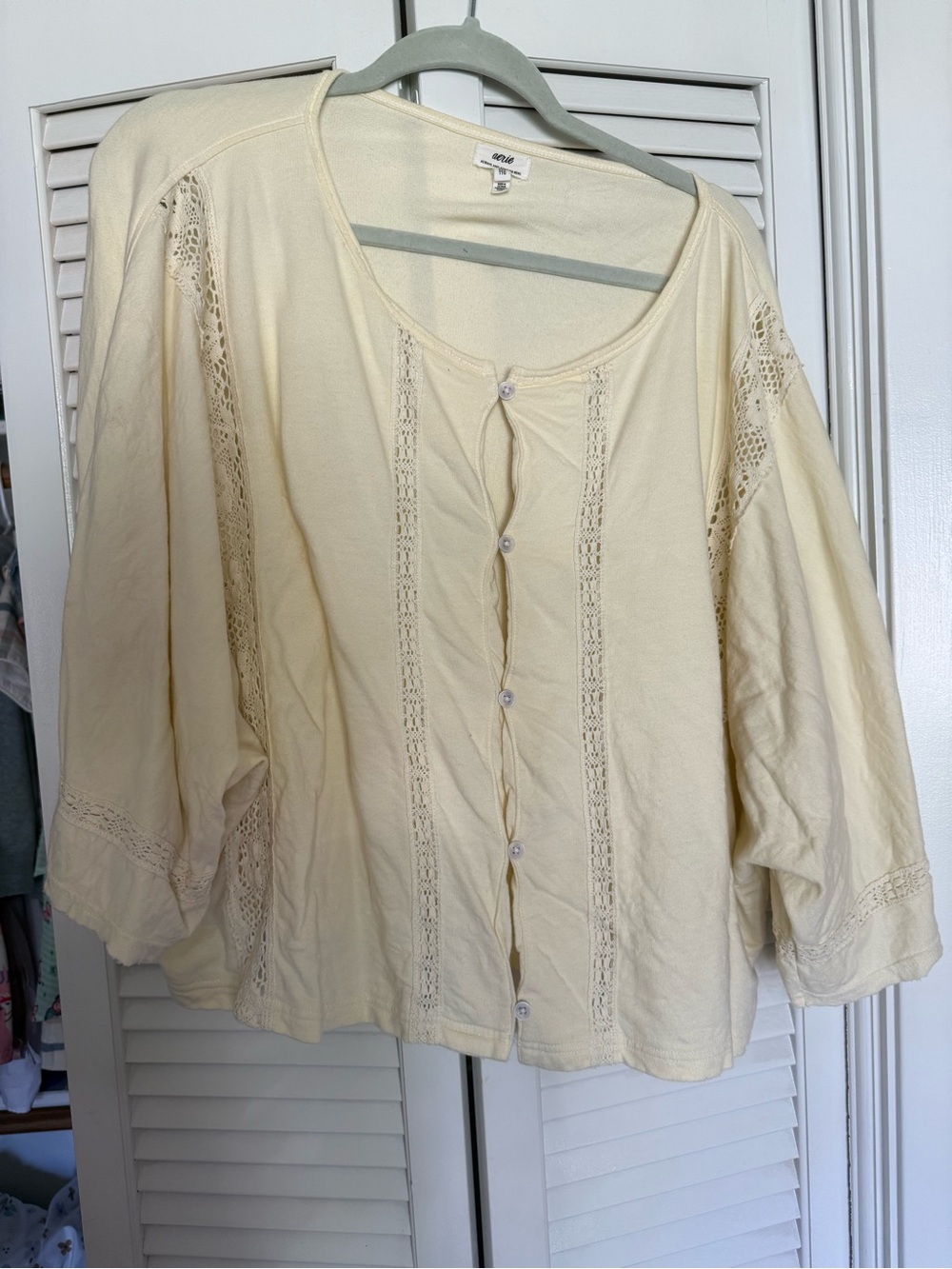 Soft Surroundings Light Cream Button-Down Lace Trim Blouse